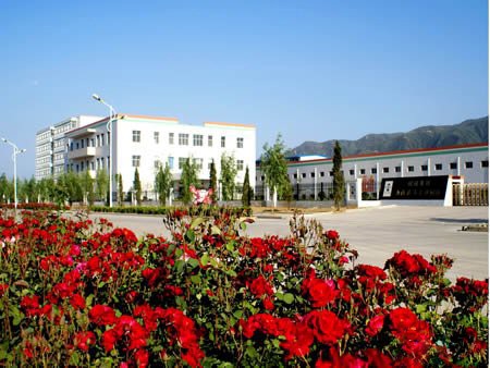 德州旺旺集团